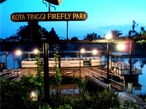 Johor – Kota Tinggi Firefly Park