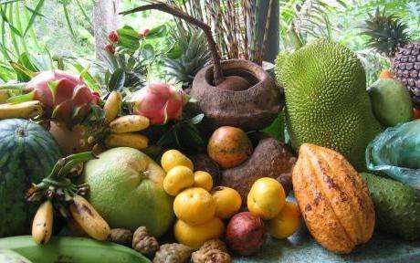 Penang – Tropical Fruit Farm